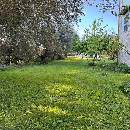 Вилла La Piccola Provenza Фиано-Романо Экстерьер фото
