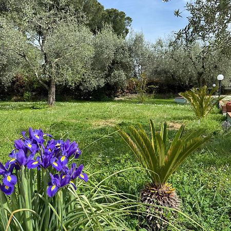 Вилла La Piccola Provenza Фиано-Романо Экстерьер фото
