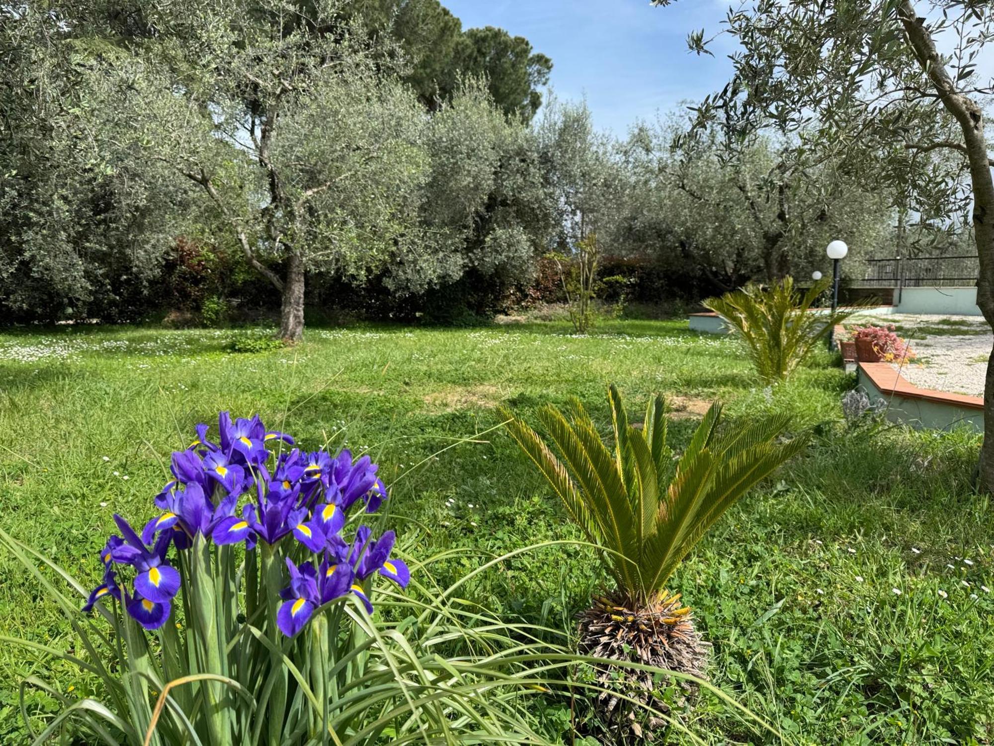 Вилла La Piccola Provenza Фиано-Романо Экстерьер фото